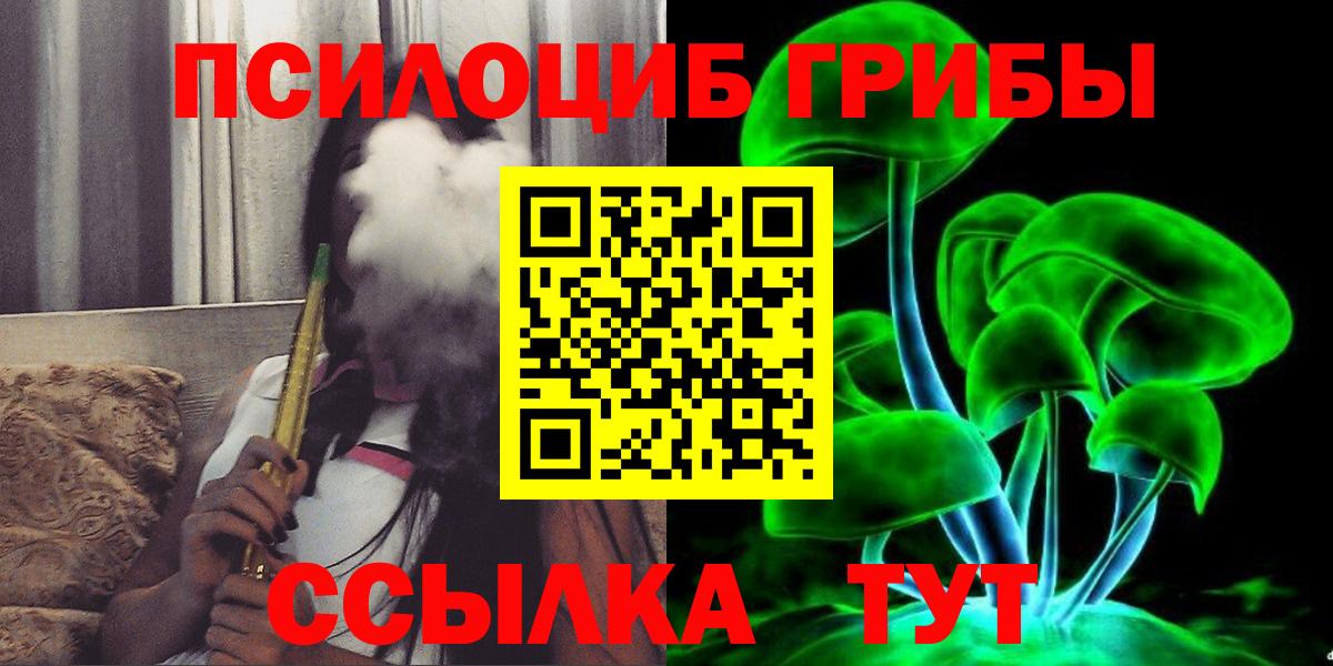 Псилоцибиновые грибы Cubensis Кунгур