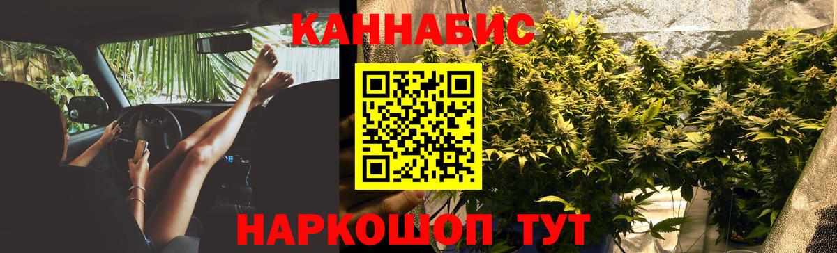 Шишки марихуана сатива  Вход с VPN  Бошки марихуана индика  Шишки марихуана Amnesia  Кунгур 